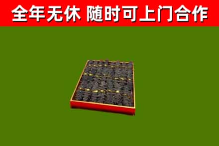 公主岭市回收海参
